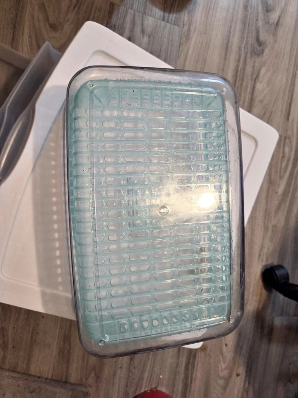 Clear & Green Plastic Storage Organizer